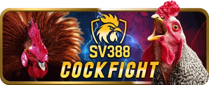 Quy trình rút tiền BAT8
